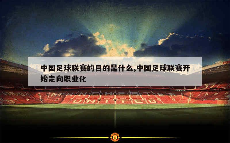 中国足球联赛的目的是什么,中国足球联赛开始走向职业化