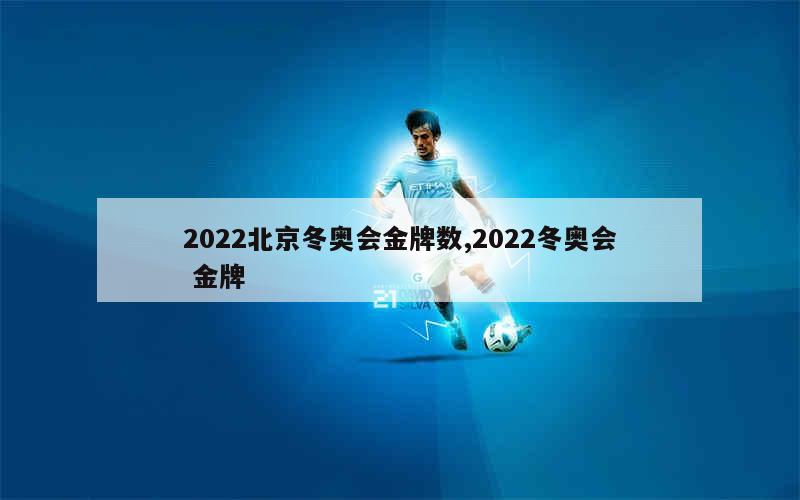 2022北京冬奥会金牌数,2022冬奥会 金牌