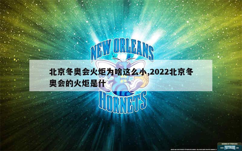 北京冬奥会火炬为啥这么小,2022北京冬奥会的火炬是什